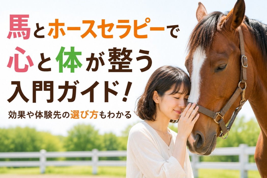 画像1016