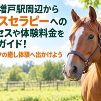 画像1124
