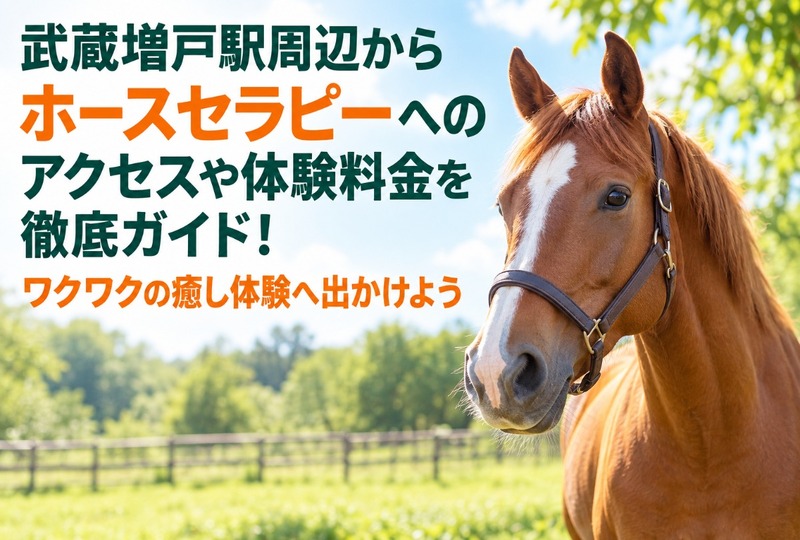 画像1124：武蔵増戸駅周辺からホースセラピーへのアクセスや体験料金を徹底ガイド！ワクワクの癒し体験へ出かけよう