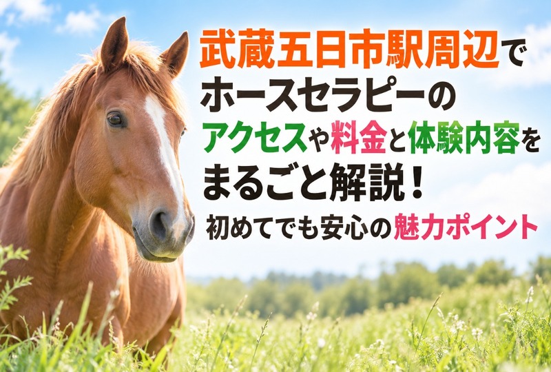 画像1144：武蔵五日市駅周辺でホースセラピーのアクセスや料金と体験内容をまるごと解説！初めてでも安心の魅力ポイント