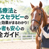 画像1164