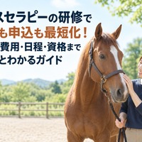 画像1212