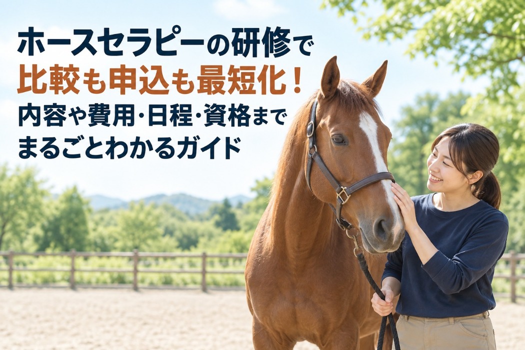 画像1212