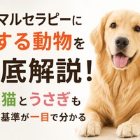 画像944