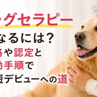 画像956