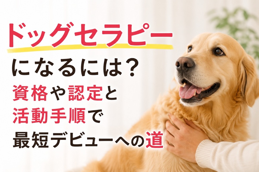 画像956