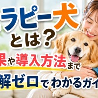 画像966