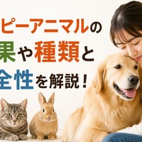 画像992